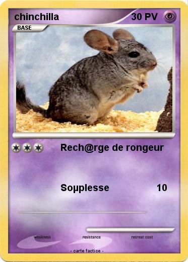 Pokemon chinchilla