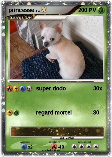 Pokemon princesse