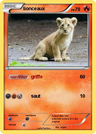 Pokemon lionceaux