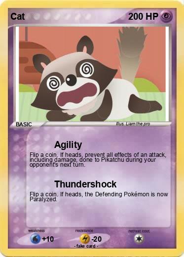 Pokemon Cat