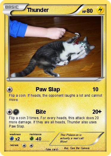 Pokemon Thunder