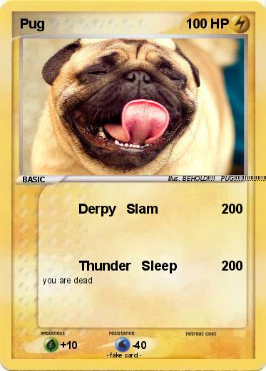Pokemon Pug