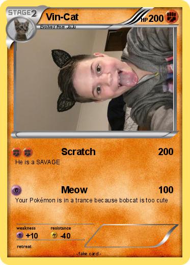 Pokemon Vin-Cat