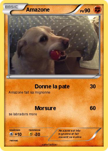 Pokemon Amazone