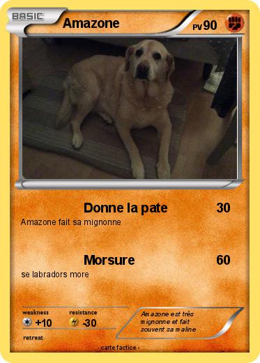 Pokemon Amazone