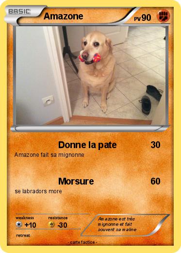 Pokemon Amazone