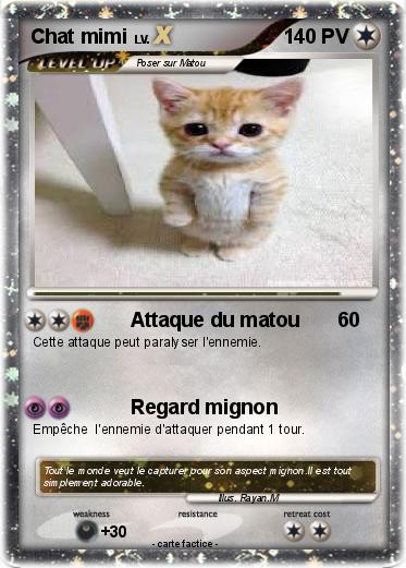 Pokemon Chat mimi