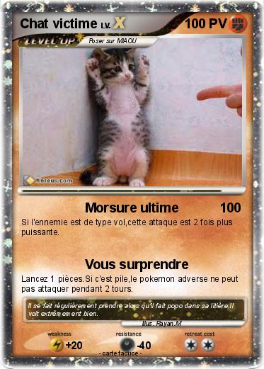 Pokemon Chat victime