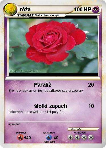 Pokemon róża
