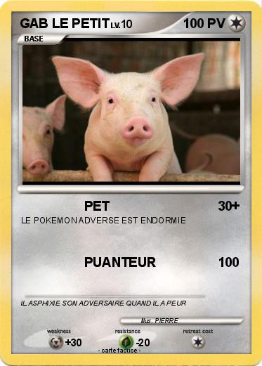 Pokemon GAB LE PETIT