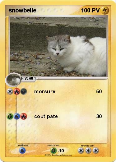 Pokemon snowbelle