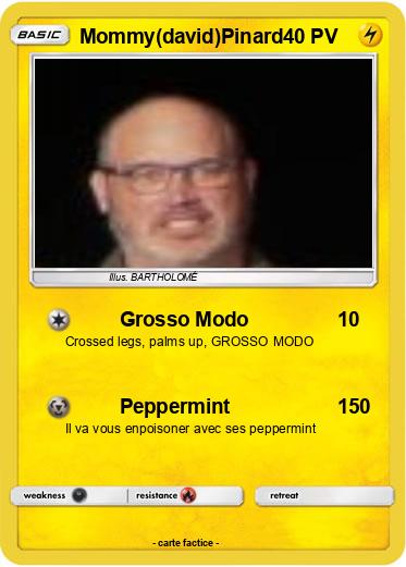 Pokemon Mommy(david)Pinard