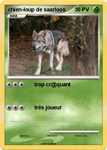 Pokemon chien-loup de saarloos