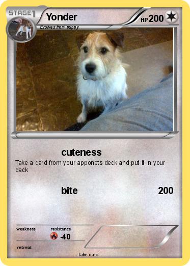 Pokemon Yonder