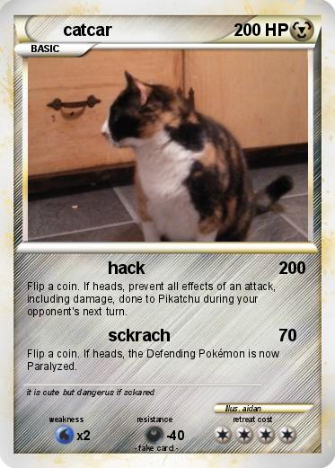 Pokemon catcar