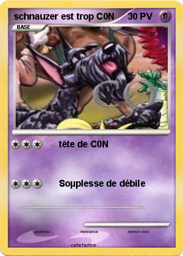 Pokemon schnauzer est trop C0N