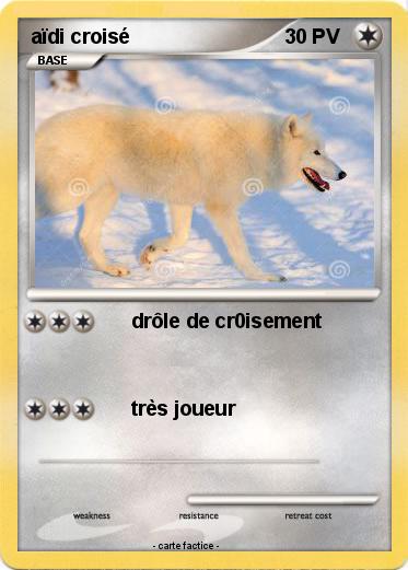 Pokemon aïdi croisé