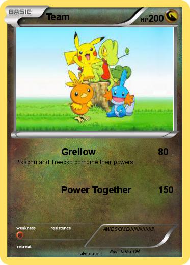 Pokemon Team