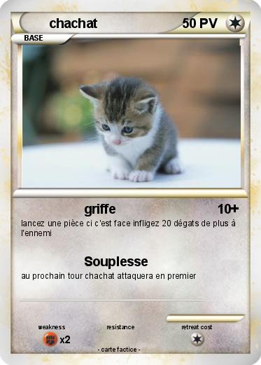 Pokemon chachat