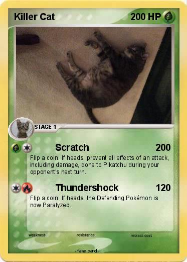 Pokemon Killer Cat