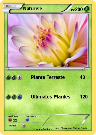 Pokemon Naturise