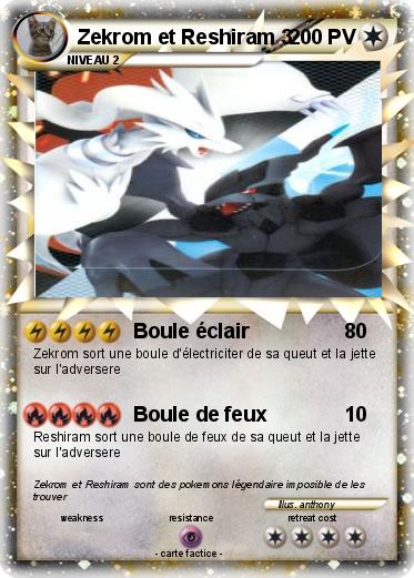 Pokemon Zekrom et Reshiram 3