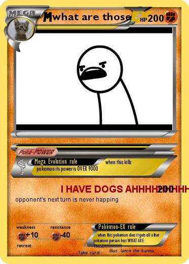 Pokemon what are those