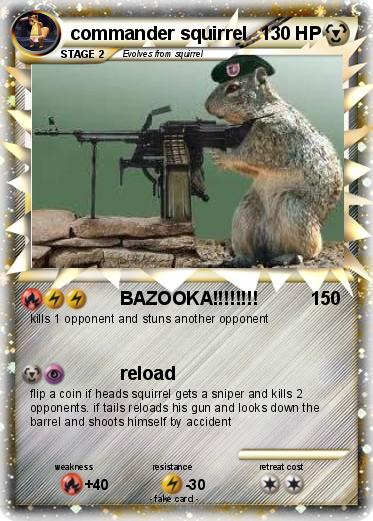 Pokemon commander squirrel