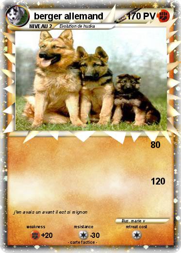 Pokemon berger allemand