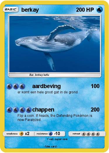 Pokemon berkay