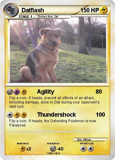 Pokemon Datflash