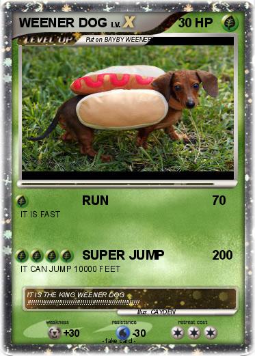 Pokemon WEENER DOG