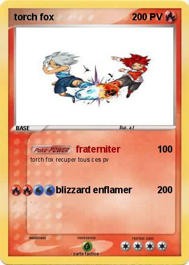 Pokemon torch fox