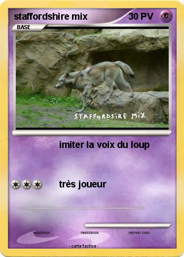 Pokemon staffordshire mix