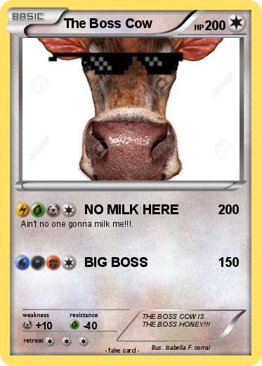 Pokemon The Boss Cow