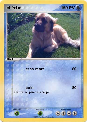 Pokemon chéché