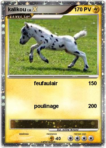 Pokemon kalikou