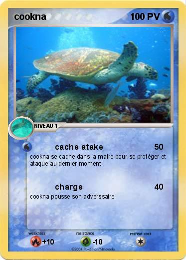 Pokemon cookna