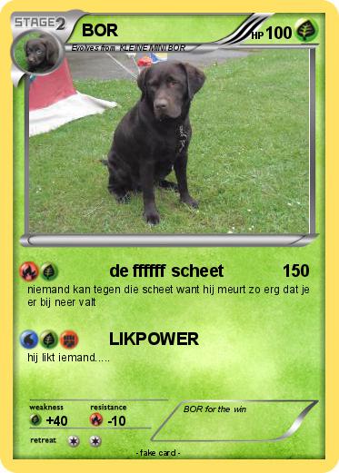Pokemon BOR