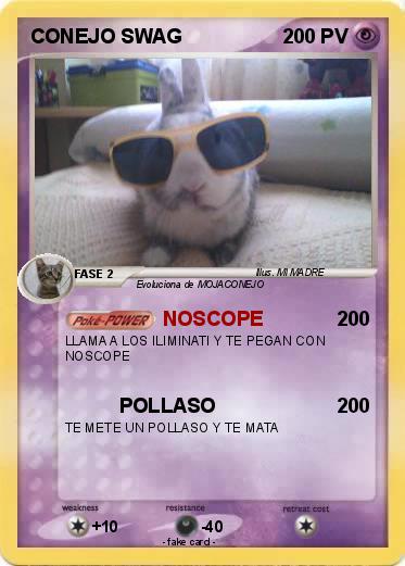 Pokemon CONEJO SWAG