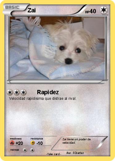Pokemon Zai