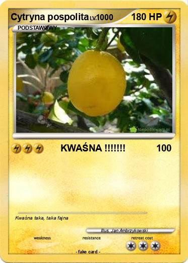 Pokemon Cytryna pospolita