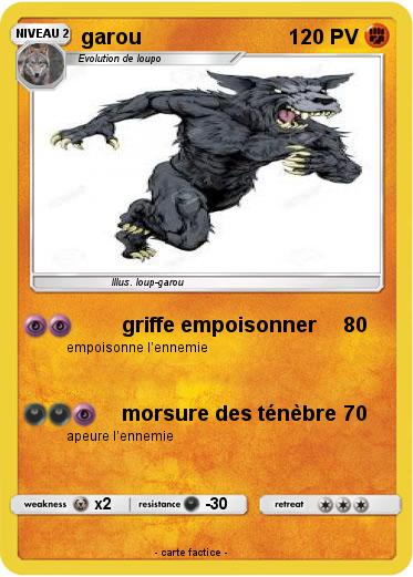 Pokemon garou