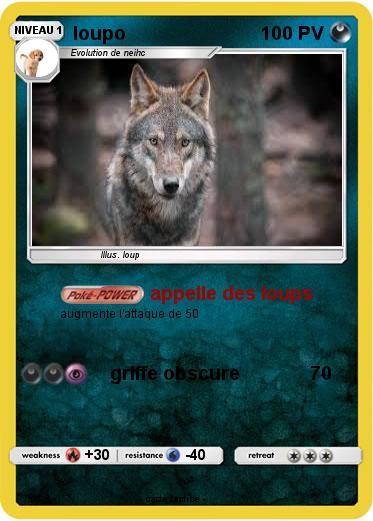 Pokemon loupo