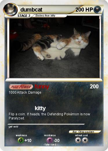 Pokemon dumbcat