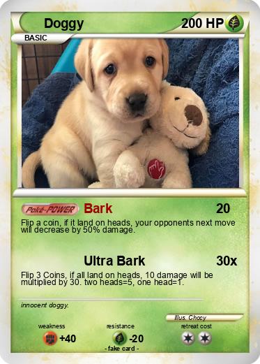 Pokemon Doggy