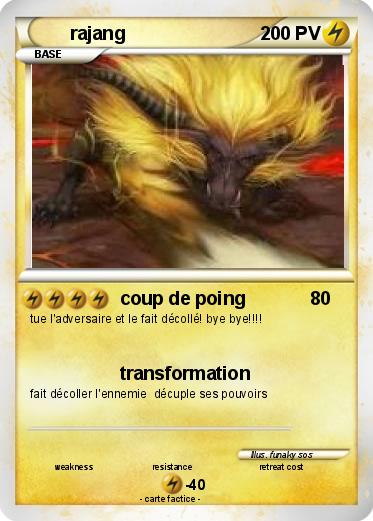 Pokemon rajang