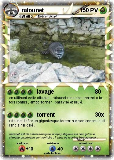 Pokemon ratounet