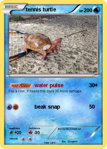 Pokemon tennis turtle