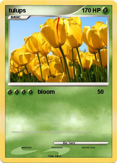 Pokemon tulups